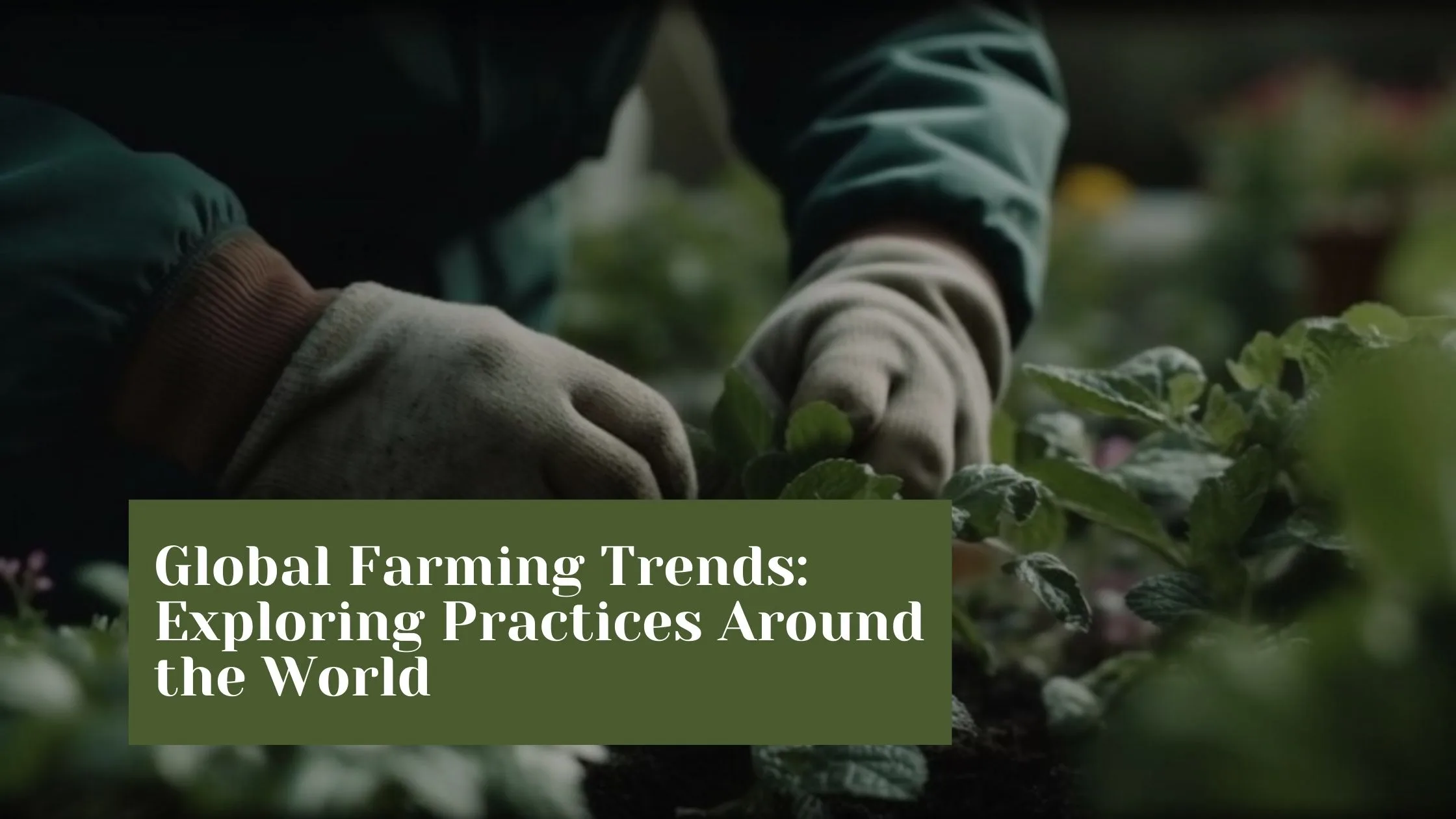 Global Farming Trends