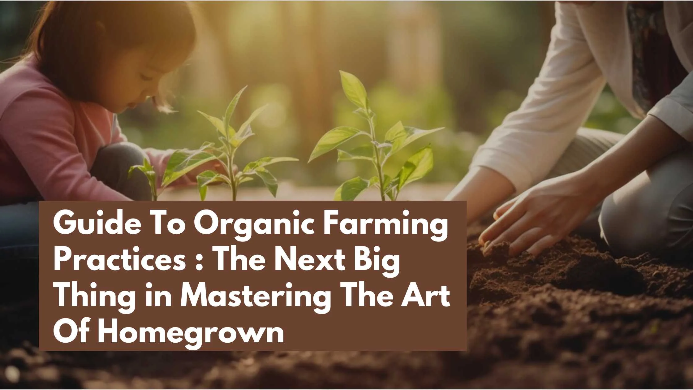 Guide to Organic Farming Practices