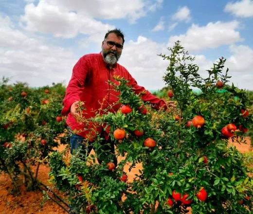 Person in red shirt hugging happily to the production of pomegranate