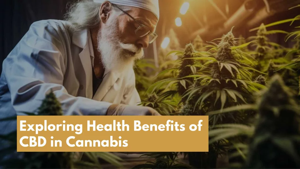 Unlocking the Therapeutic Potential: Exploring Health Benefits of CBD in Cannabis
