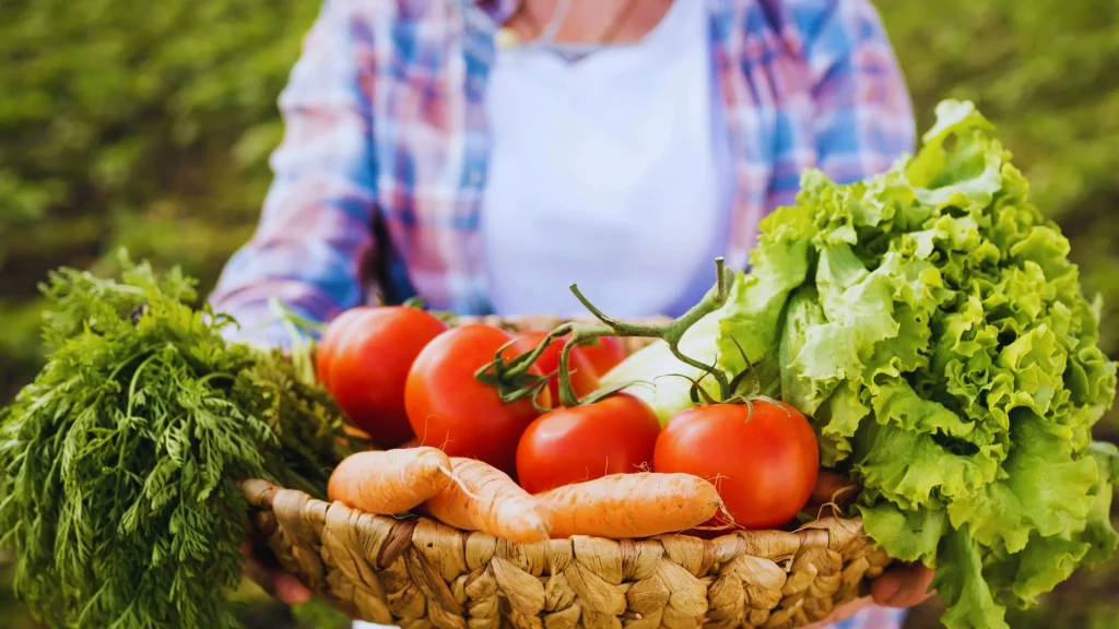 Woman holding basket full of vegetables close up