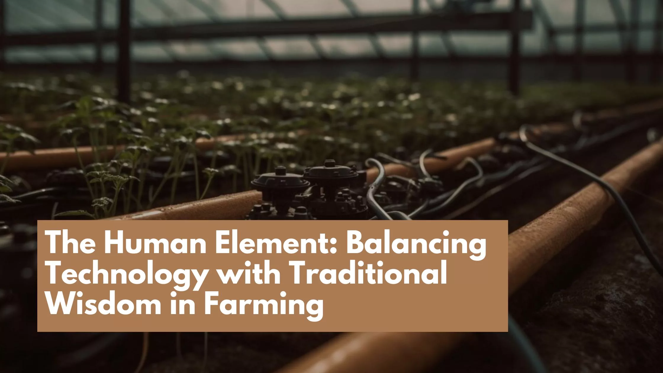Balancing Technology with Traditional Wisdom in Farming