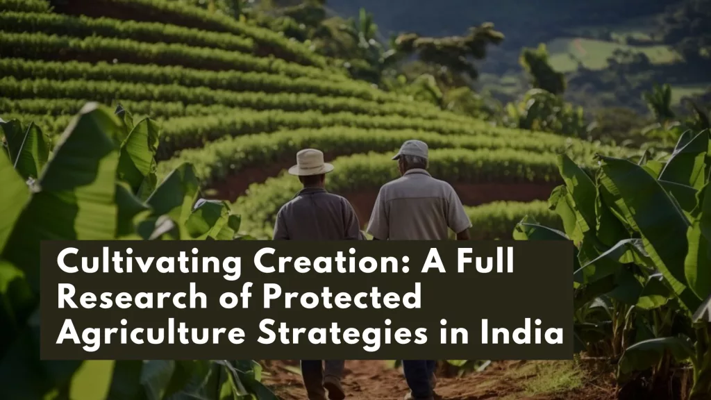 Cultivating Creation: A Full Research of Protected Agriculture Strategies in India