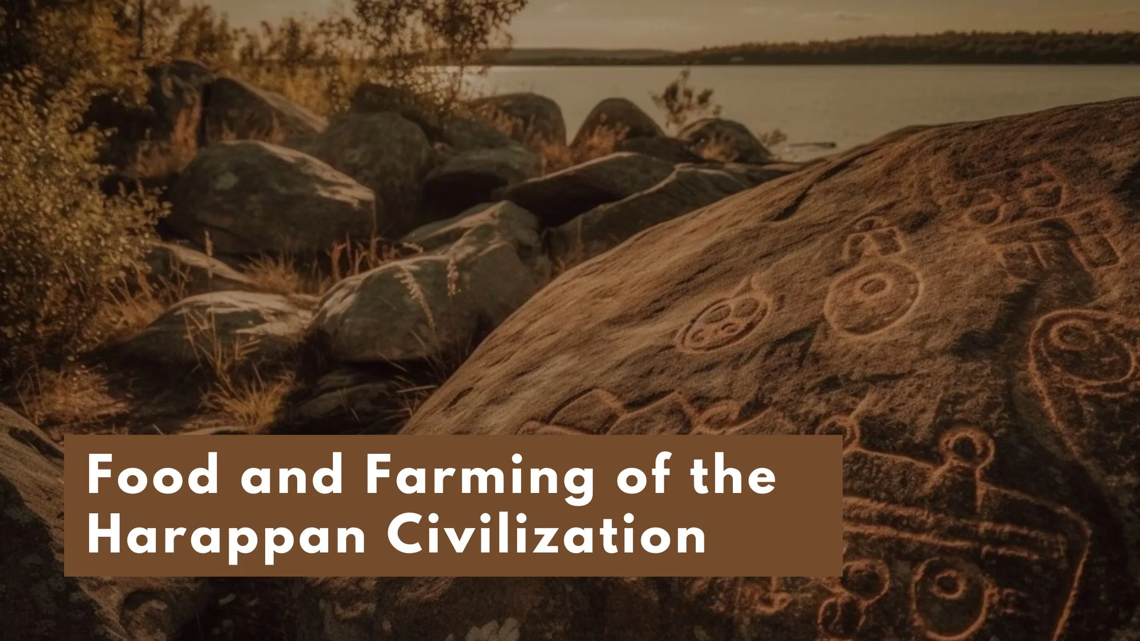 Food and Farming of the Harappan Civilization