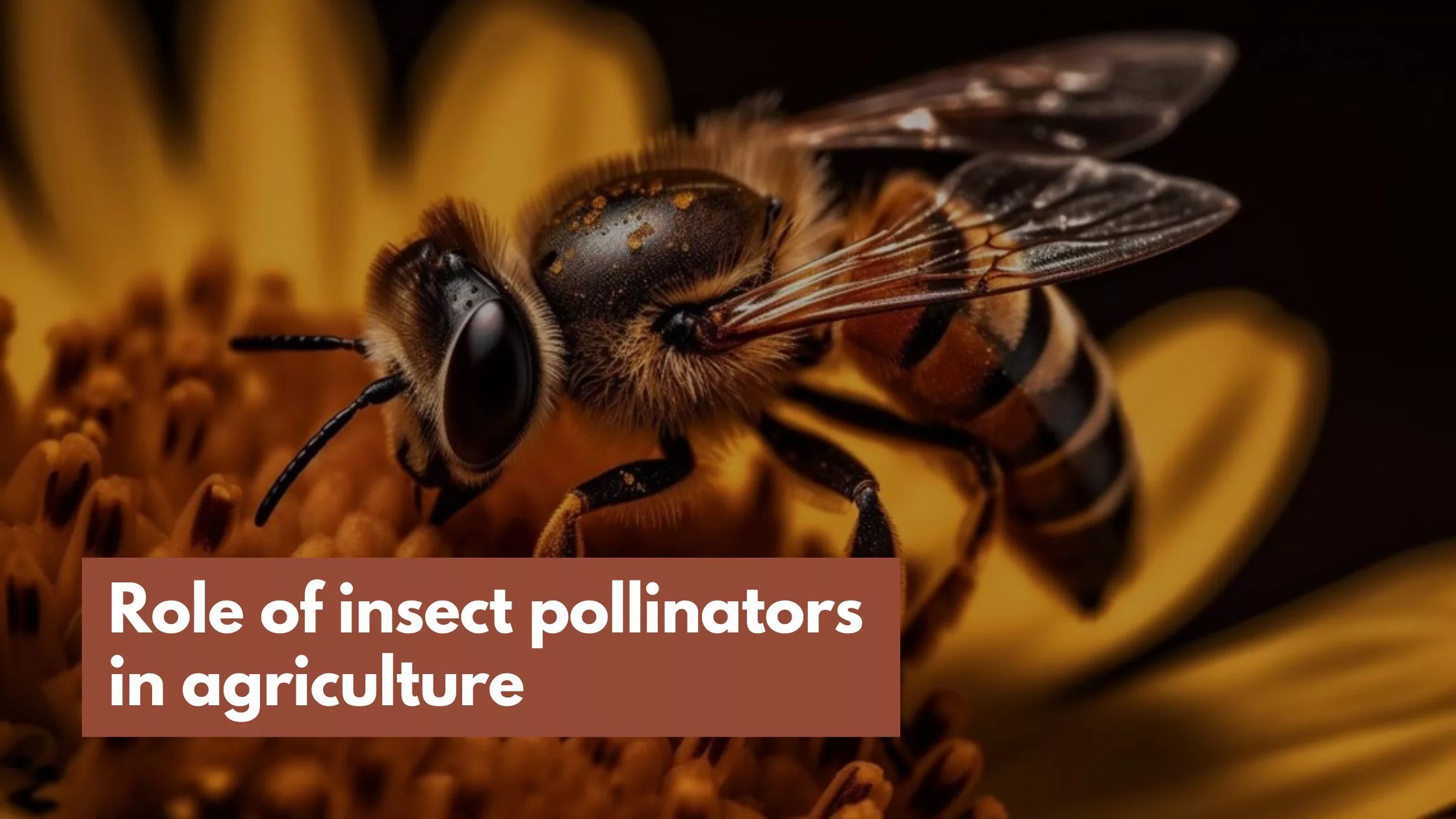 Role of insect pollinators in agriculture