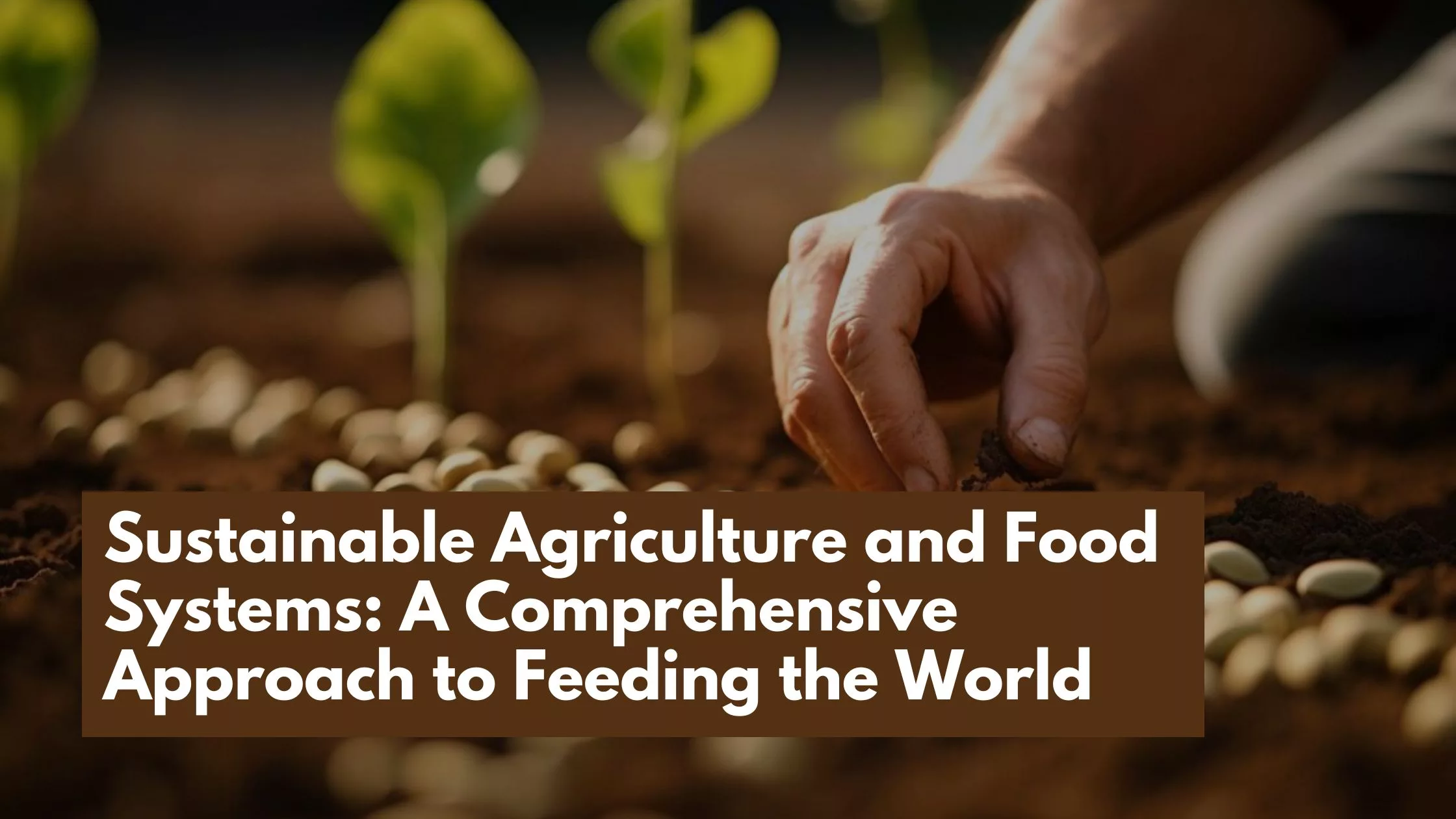 Sustainable Agriculture and Food Systems: A Comprehensive Approach to Feeding the World
