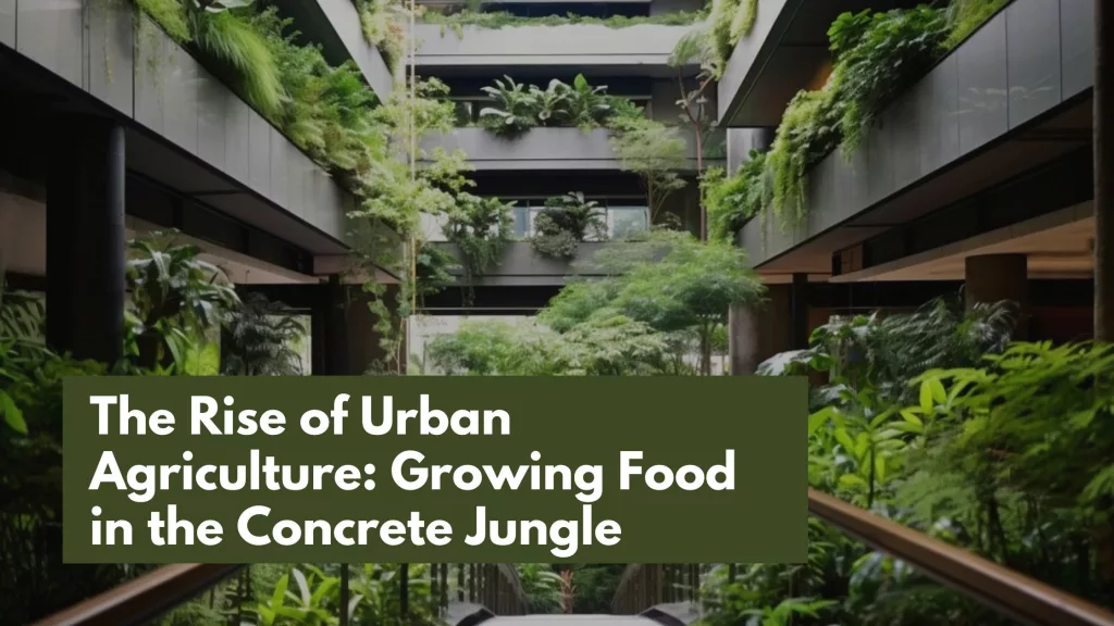 The Rise of Urban Agriculture: Growing Food in the Concrete Jungle