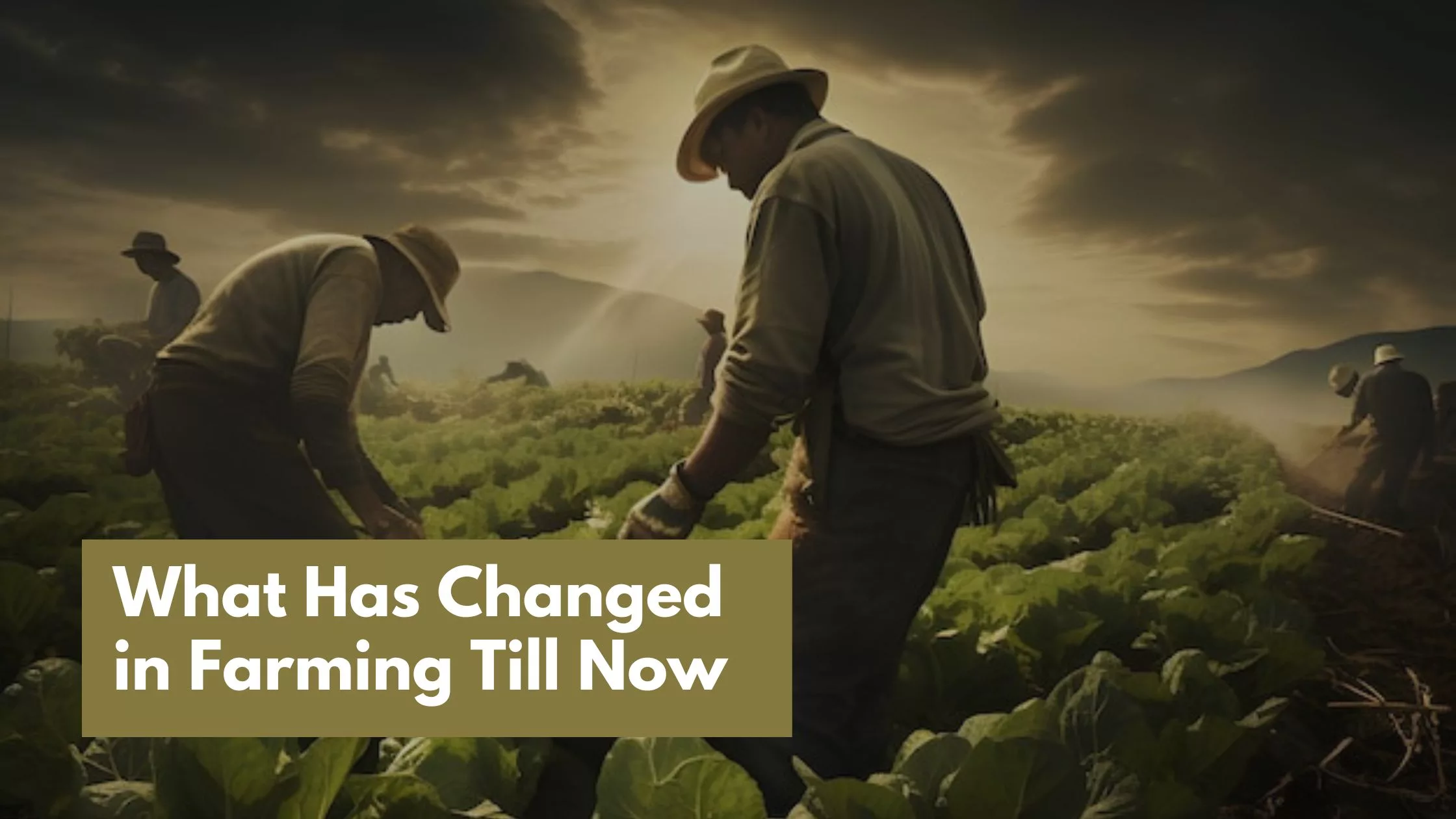 What Has Changed in Farming Till Now
