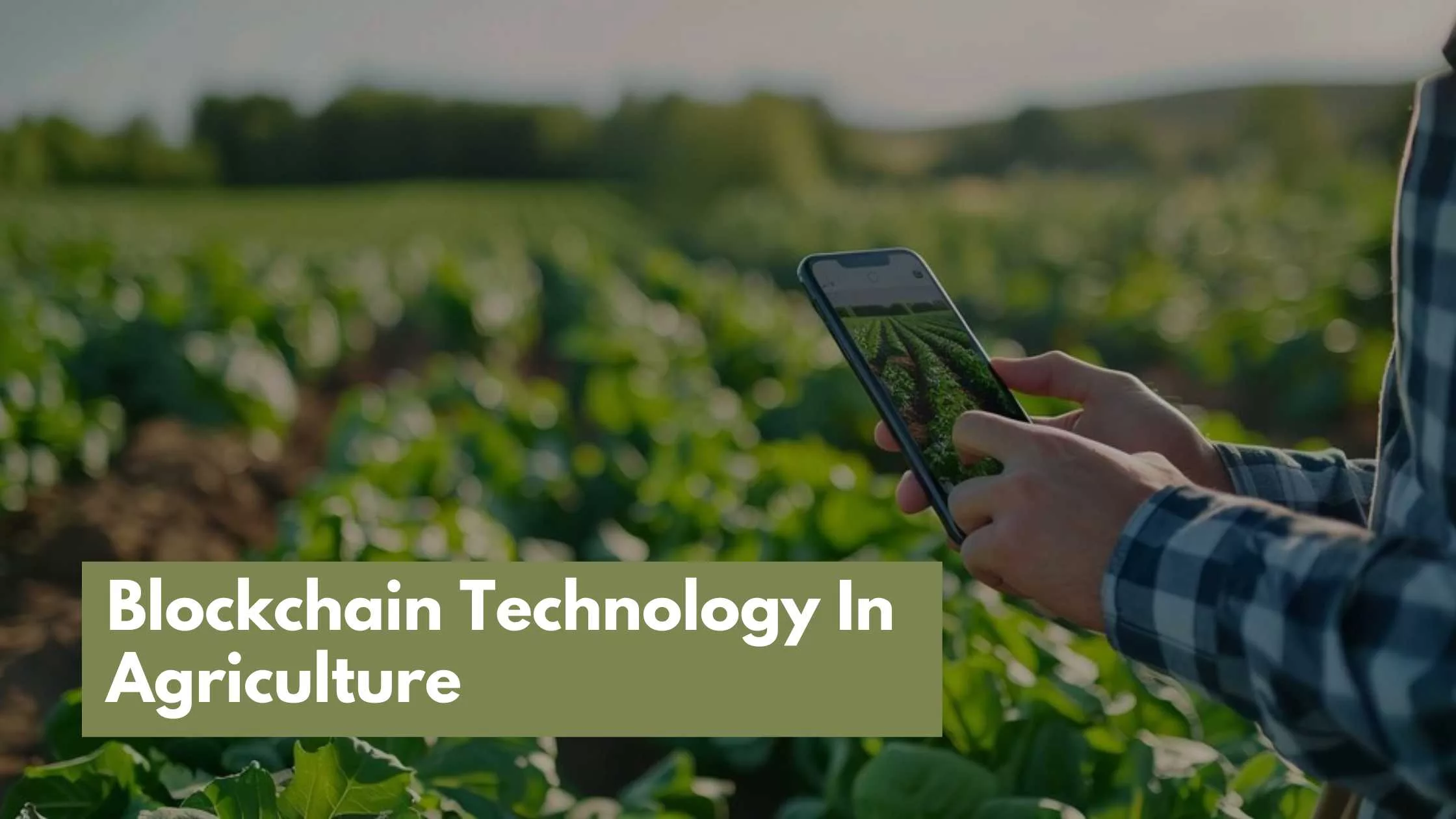 Blockchain Technology In Agriculture
