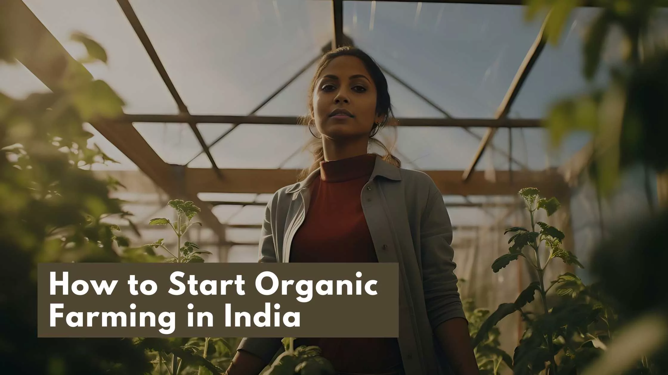 How to Start Organic Farming in India