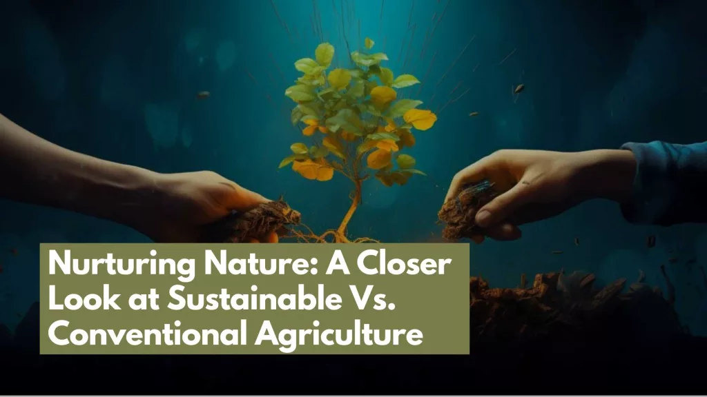 Sustainable Vs. Conventional Agriculture