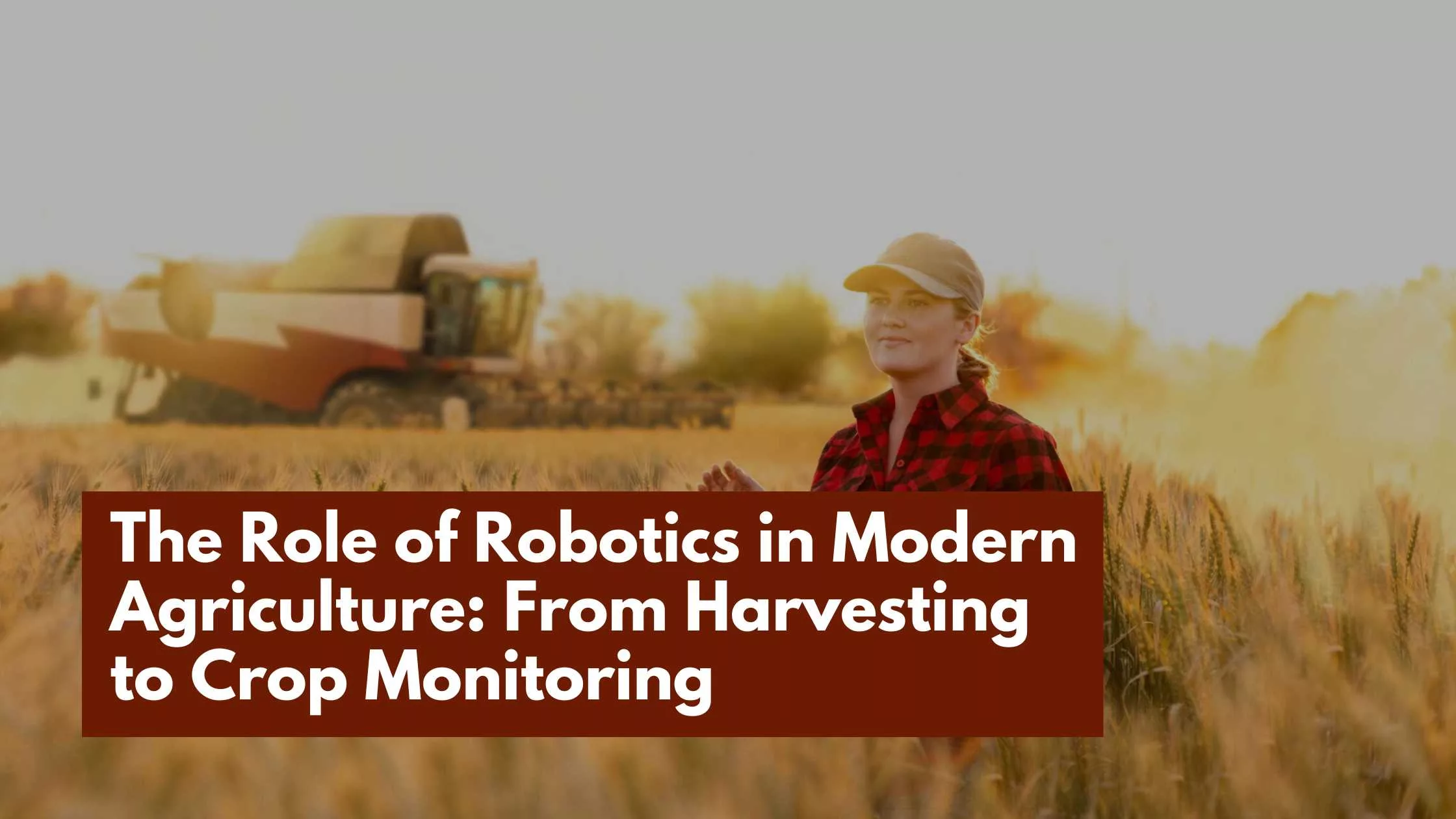 The Role of Robotics in Modern Agriculture