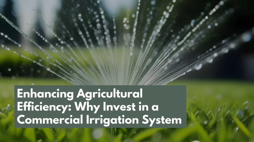 Enhancing Agricultural Efficiency: Why Invest in a Commercial Irrigation System