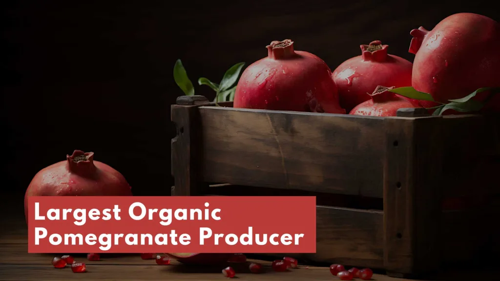 Harisharan Devgan: Largest Organic Pomegranate Producer