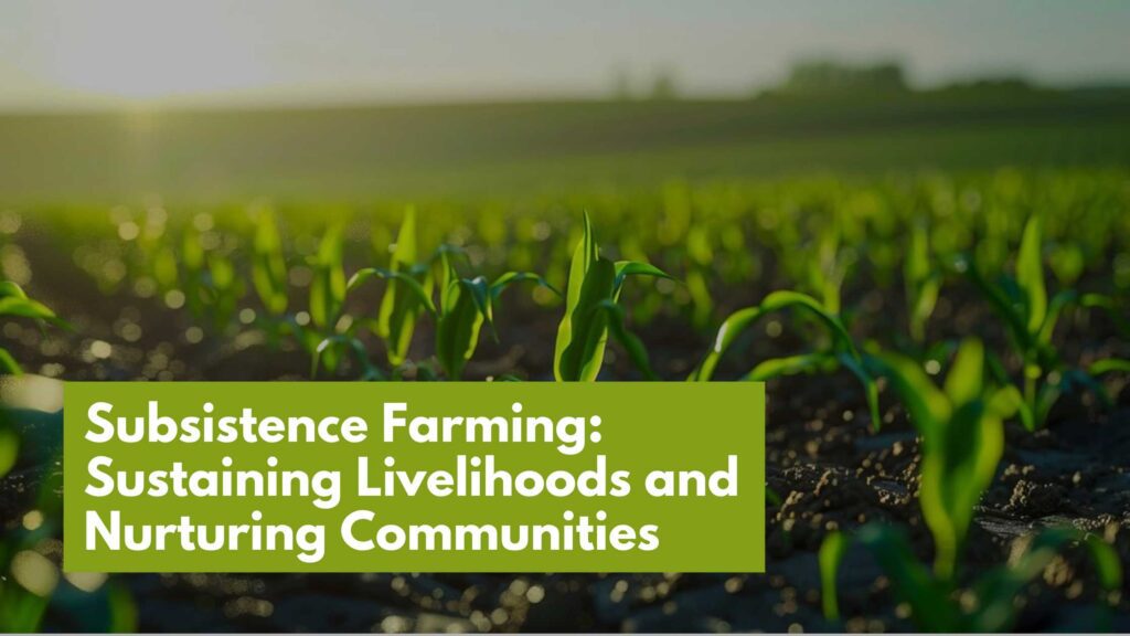 Subsistence Farming: Sustaining Livelihoods and Nurturing Communities