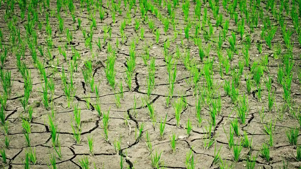 Dry Land Farming