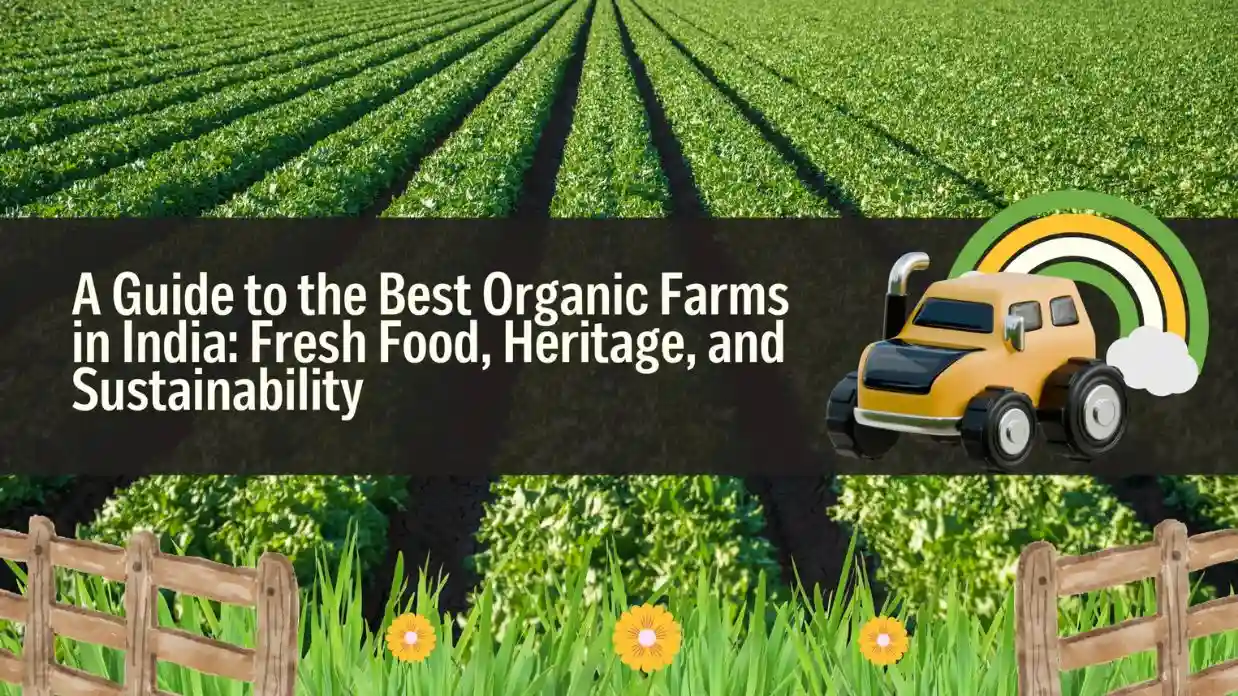 Best Organic Farms in India
