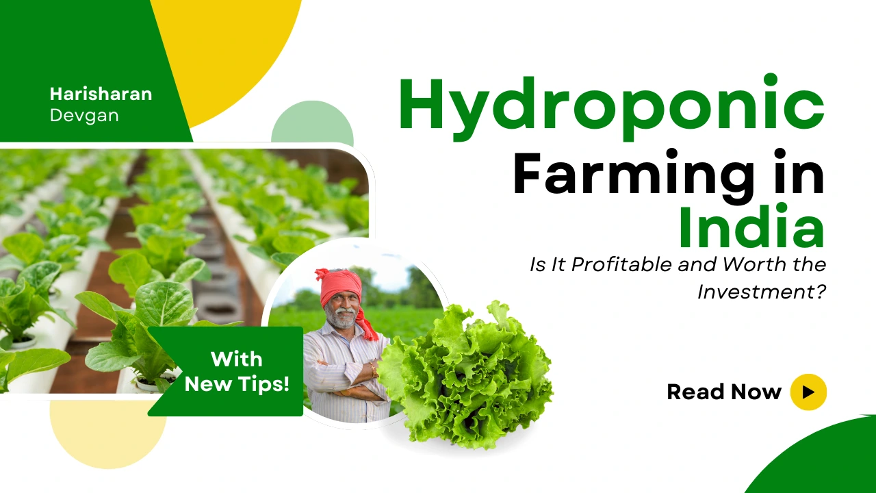 Hydroponic Farming in India