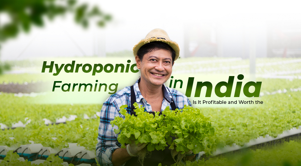 Hydroponic Farming in India