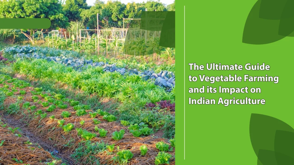 Vegetable Farming