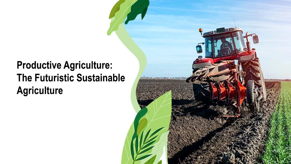 Productive Agriculture