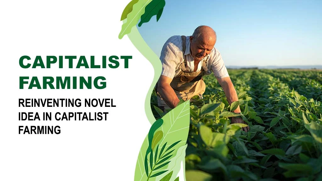 Capitalist Farming
