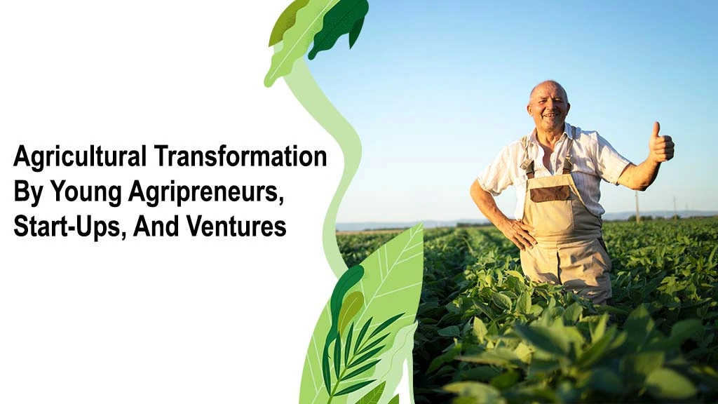 Agricultural Transformation