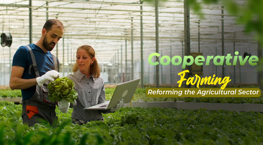 Cooperative Farming