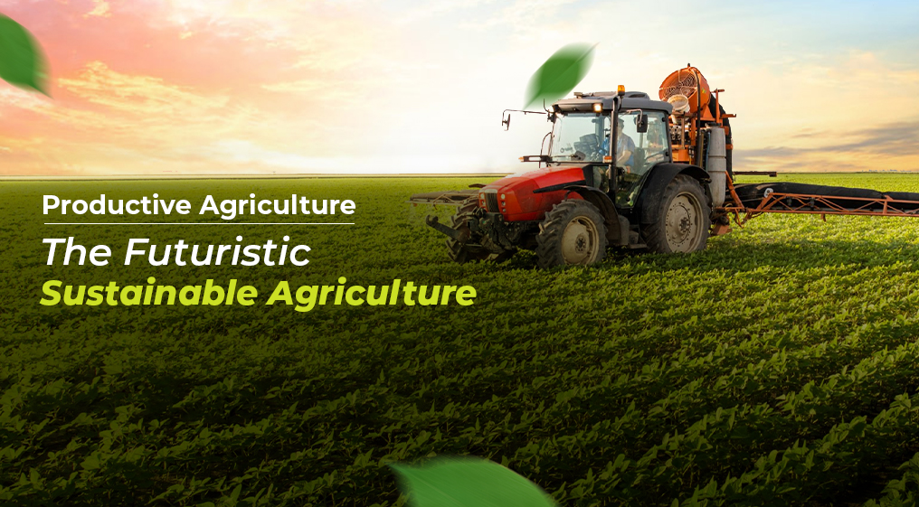 Productive Agriculture