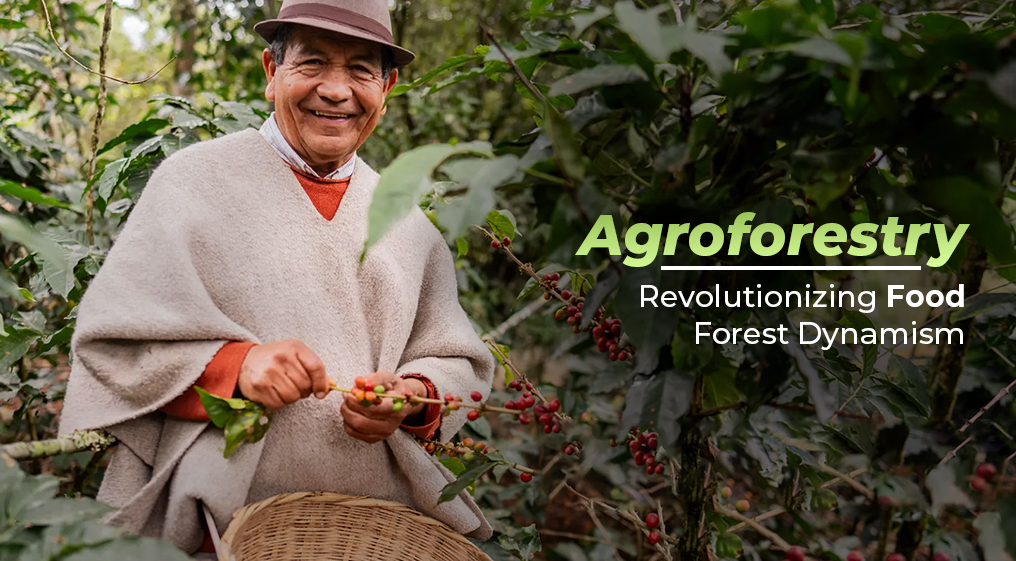 AGROFORESTRY