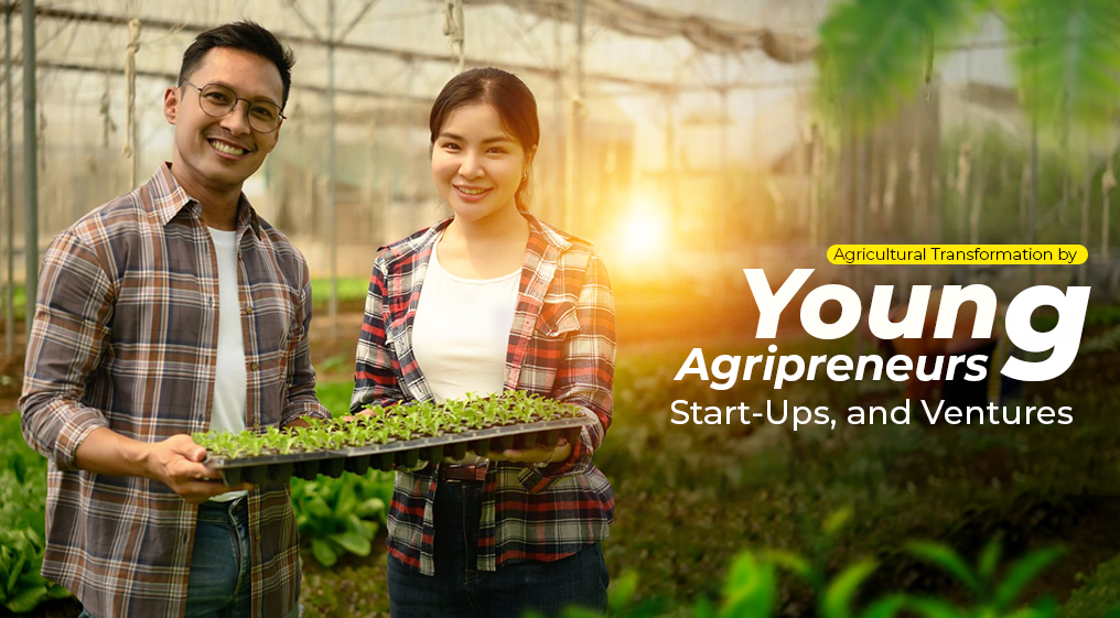 Agricultural Transformation
