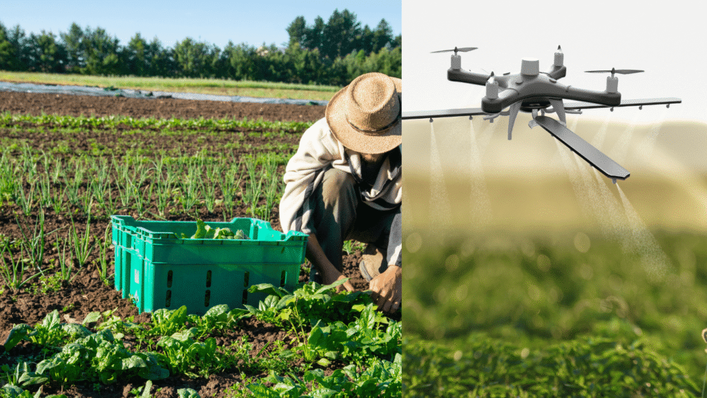 Conventional Agriculture 