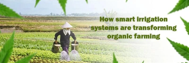 Smart irrigation