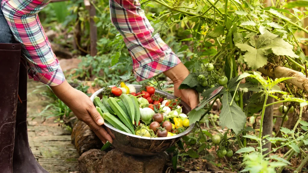 organic farming